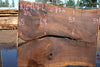 Oregon Black Walnut Slab 102424-2
