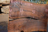 Oregon Black Walnut Slab 102424-3