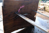 Oregon Black Walnut Slab 102424-4