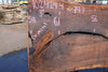 Oregon Black Walnut Slab 102424-4