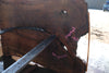 Oregon Black Walnut Slab 102424-5