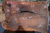Oregon Black Walnut Slab 102424-5