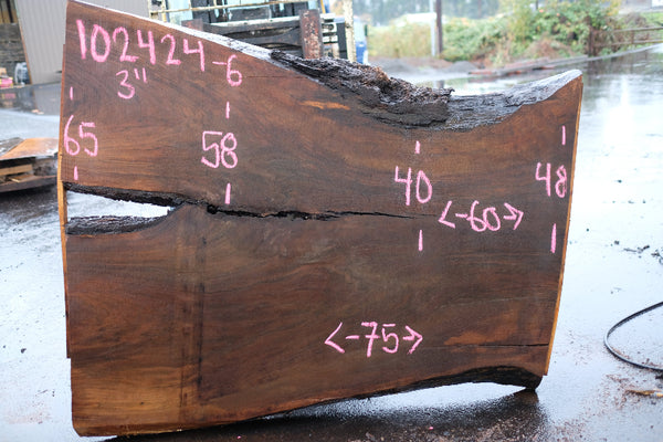 Oregon Black Walnut Slab 102424-6