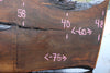 Oregon Black Walnut Slab 102424-6