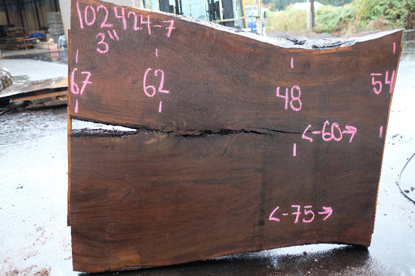 Oregon Black Walnut Slab 102424-7