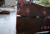 Oregon Black Walnut Slab 102424-7