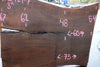 Oregon Black Walnut Slab 102424-7