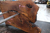 Oregon Black Walnut Slab 102424-8