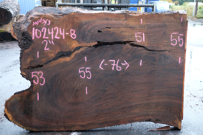 Oregon Black Walnut Slab 102424-8