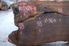 Oregon Black Walnut Slab 102424-8