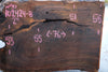 Oregon Black Walnut Slab 102424-8