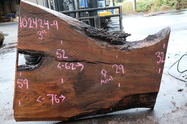 Oregon Black Walnut Slab 102424-9