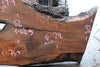 Oregon Black Walnut Slab 102424-9