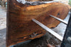 Oregon Black Walnut Slab 102424-10