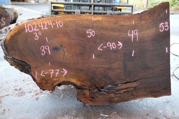 Oregon Black Walnut Slab 102424-10