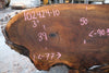 Oregon Black Walnut Slab 102424-10