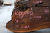 Oregon Black Walnut Slab 102424-11