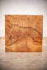 Big Leaf Maple Board TB10320