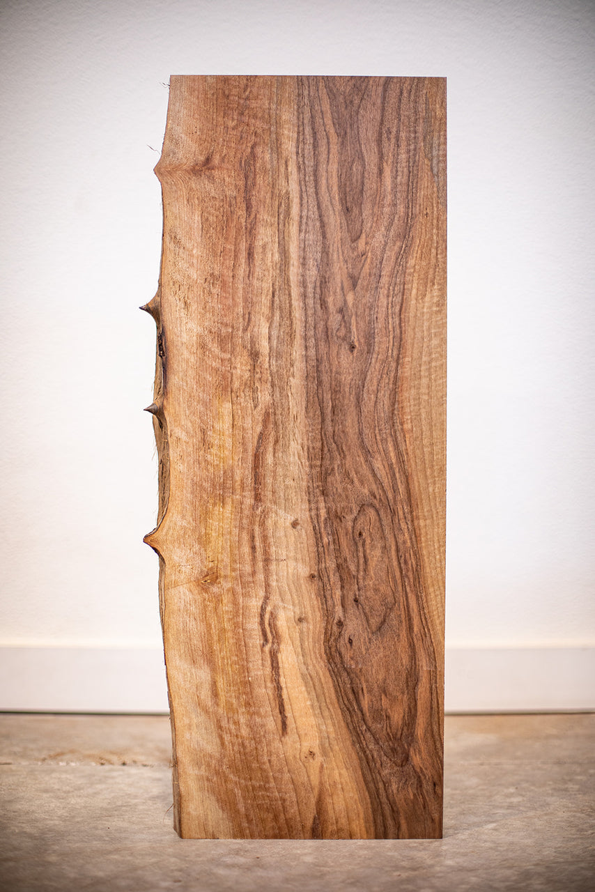 Oregon Black Walnut Board B10351