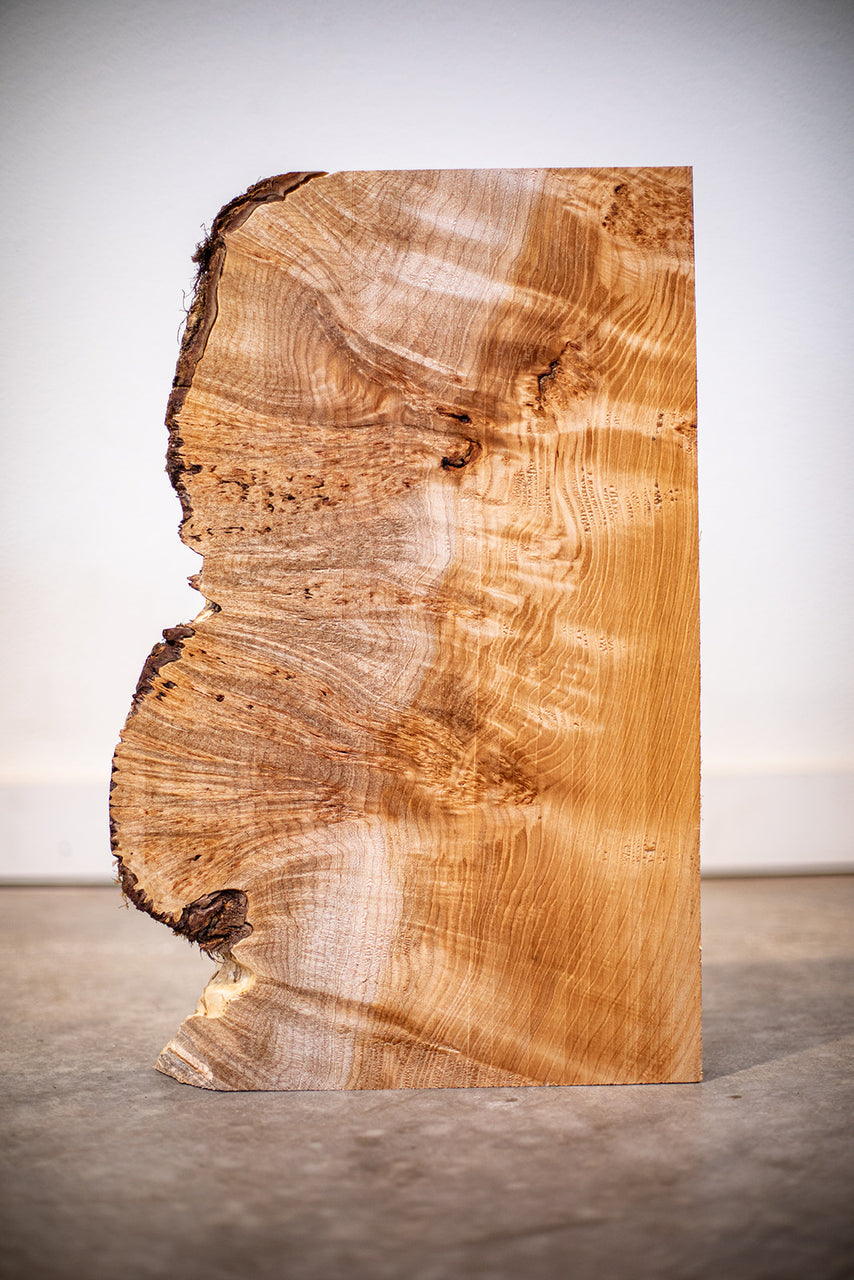 Big Leaf Maple Board B10377