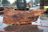 Big Leaf Maple Slab 121224-01