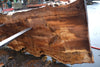 Big Leaf Maple Slab 121224-01