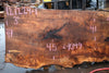 Big Leaf Maple Slab 121224-01