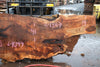 Big Leaf Maple Slab 121224-01