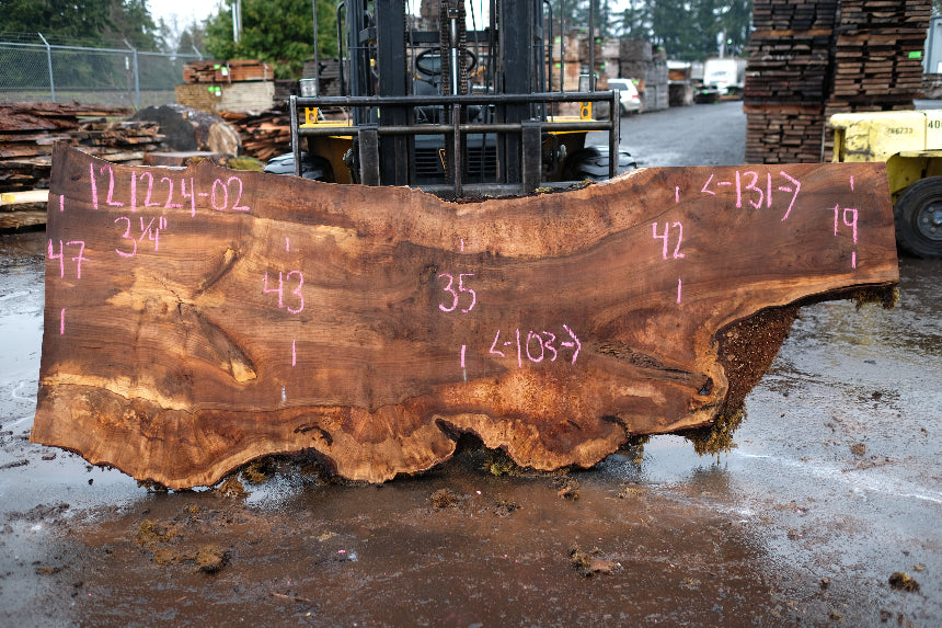 Big Leaf Maple Slab 121224-02