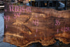 Big Leaf Maple Slab 121224-02