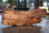 Big Leaf Maple Slab 121224-03