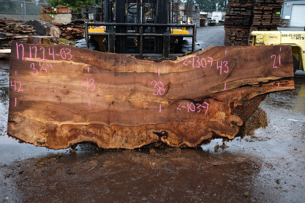 Big Leaf Maple Slab 121224-03