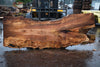 Big Leaf Maple Slab 121224-04