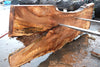 Big Leaf Maple Slab 121224-04