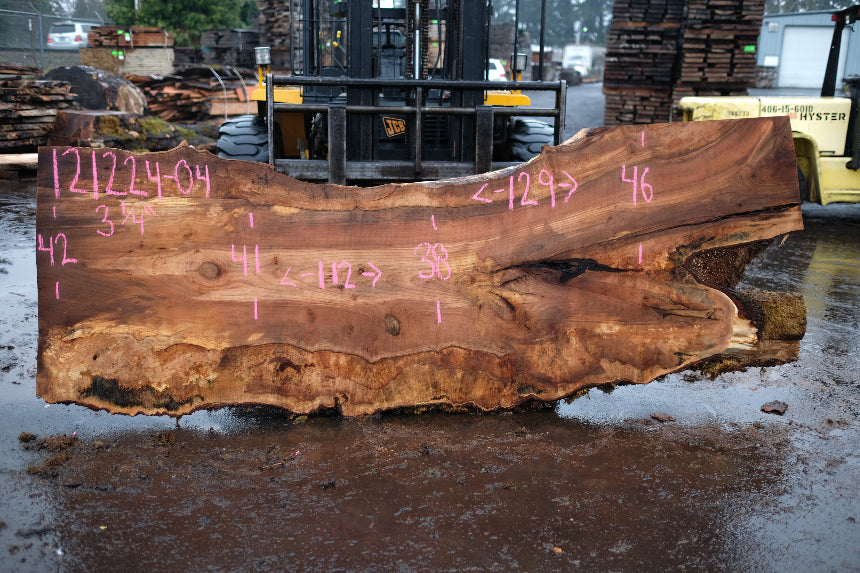 Big Leaf Maple Slab 121224-04
