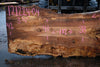 Big Leaf Maple Slab 121224-04