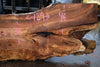 Big Leaf Maple Slab 121224-04
