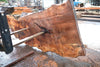 Big Leaf Maple Slab 121224-06