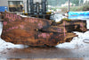 Big Leaf Maple Slab 121224-06