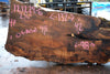 Big Leaf Maple Slab 121224-06
