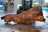 Big Leaf Maple Slab 121224-07