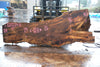 Big Leaf Maple Slab 121224-08