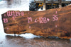 Big Leaf Maple Slab 121224-08