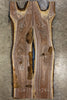 Oregon Black Walnut Bookmatch BMBW-1565