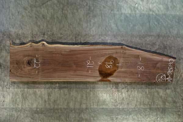 Oregon Black Walnut Slab 061326-01