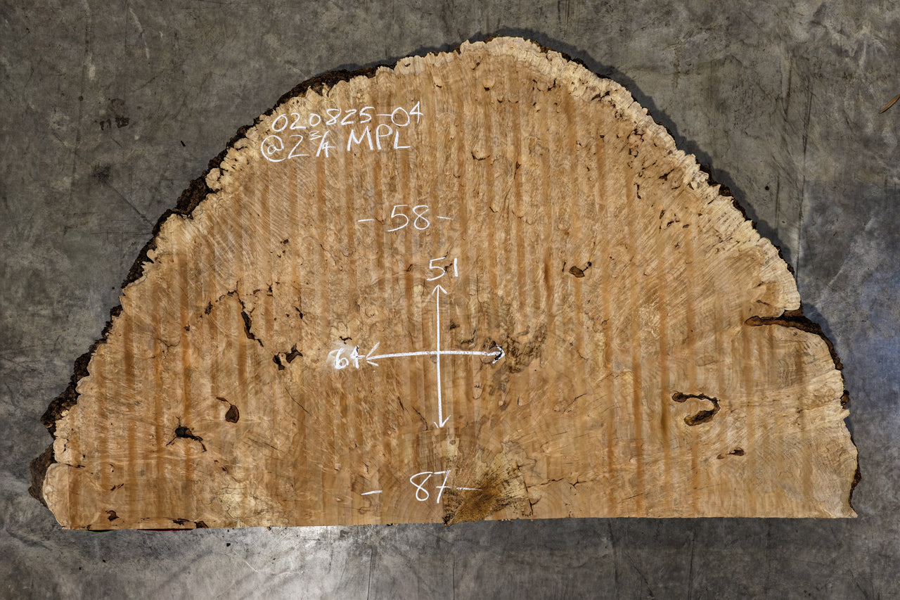 Big Leaf Maple Burl Round 020825-04