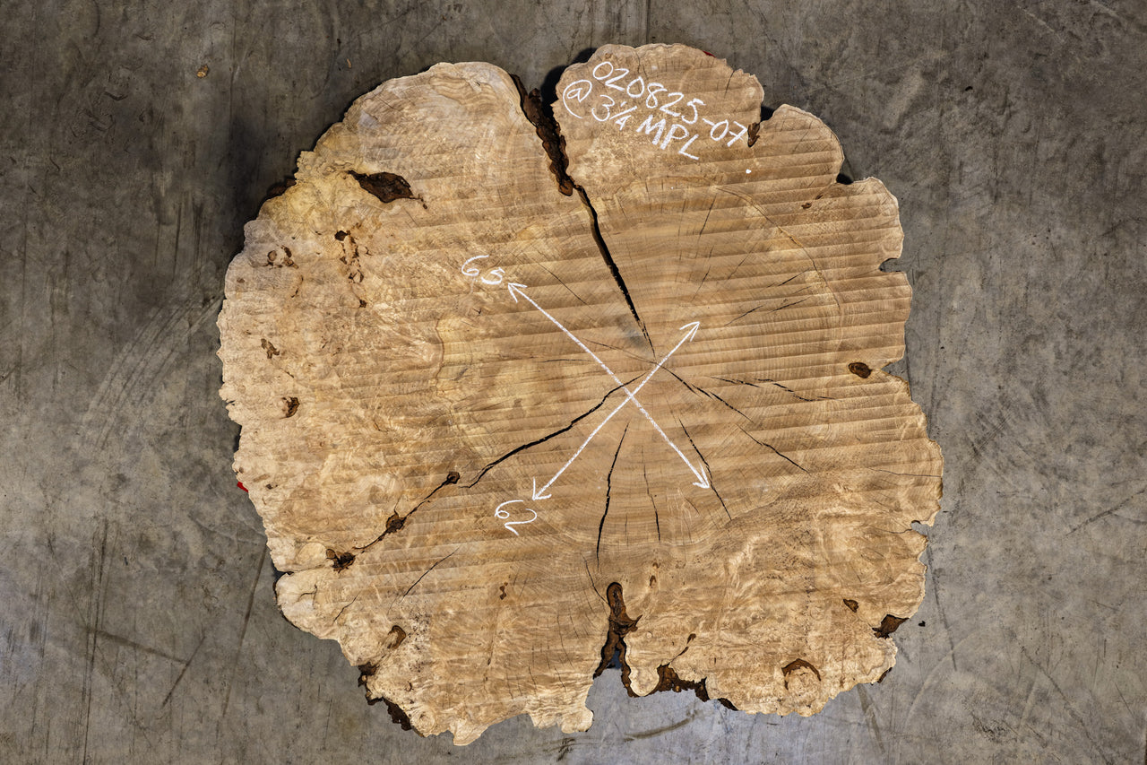 Big Leaf Maple Burl Round 020825-07