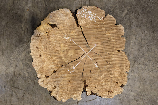 Big Leaf Maple Burl Round 020825-07