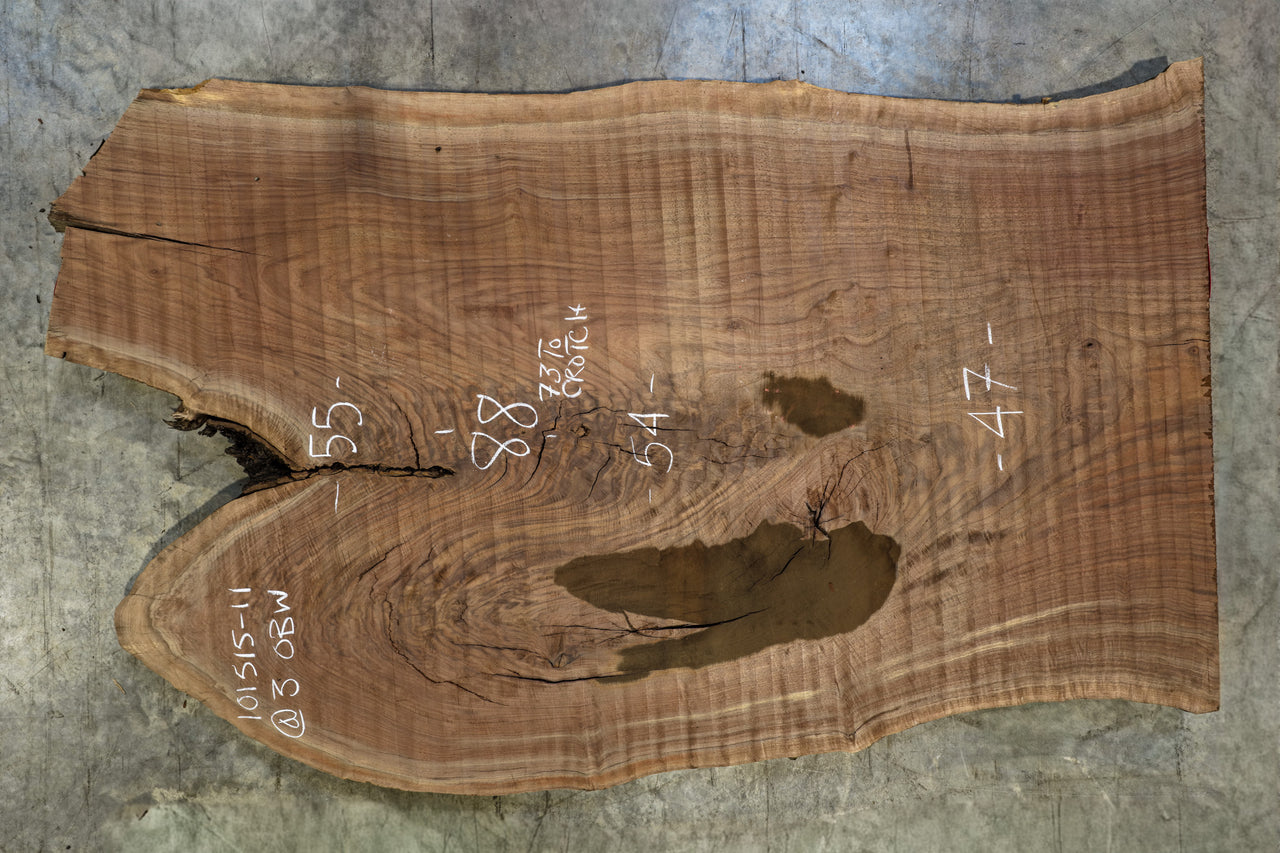Oregon Black Walnut Slab 101515-11