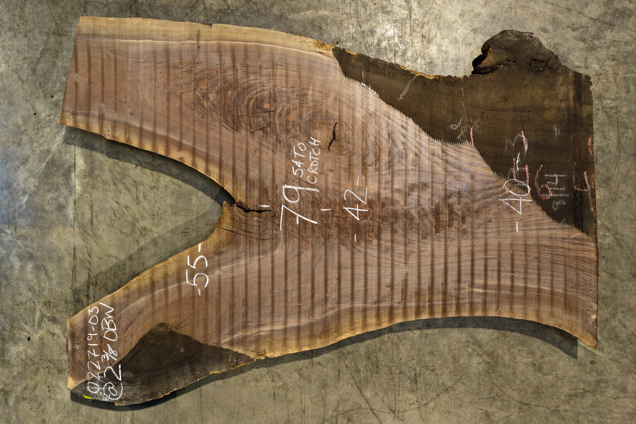 Oregon Black Walnut Slab 022719-03